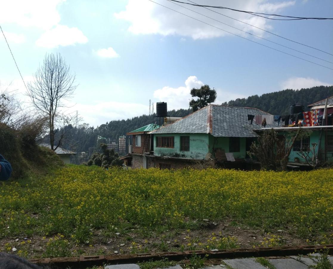 White Rabbit Guest House Dharamsala Exteriér fotografie